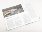 Выпуск №29. Камни и минералы. Тайны недр, Гессонит Камни и минералы (MODIMIO), фото 6