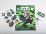 Дикие животные России № 50: Лесной хорёк Дикие животные России, фото 2